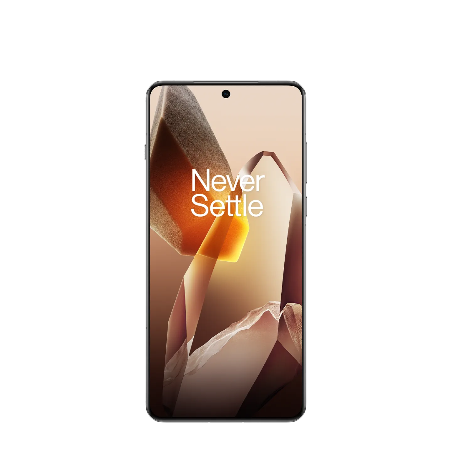 OnePlus 13 24/1024 Arctic Dawn (Белый) — изображение 2